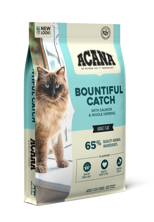 Bountiful Catch